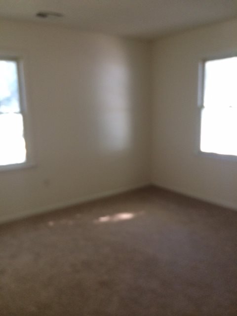 Gallery Photo 5